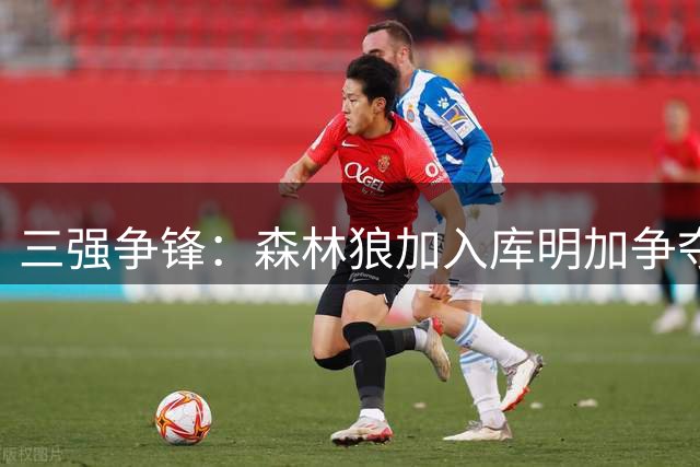 三强争锋：森林狼加入库明加争夺战，湖人骑士遭遇劲敌
